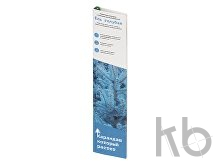 Карандаш, который растет. Ель голубая