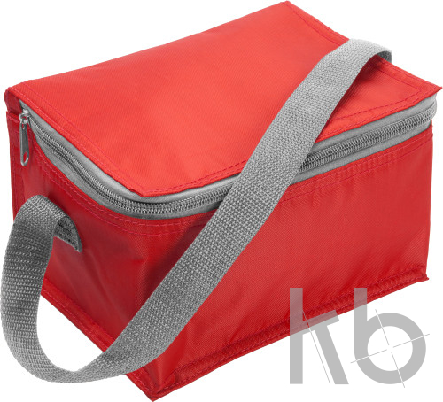Polyester (420D) cooler bag