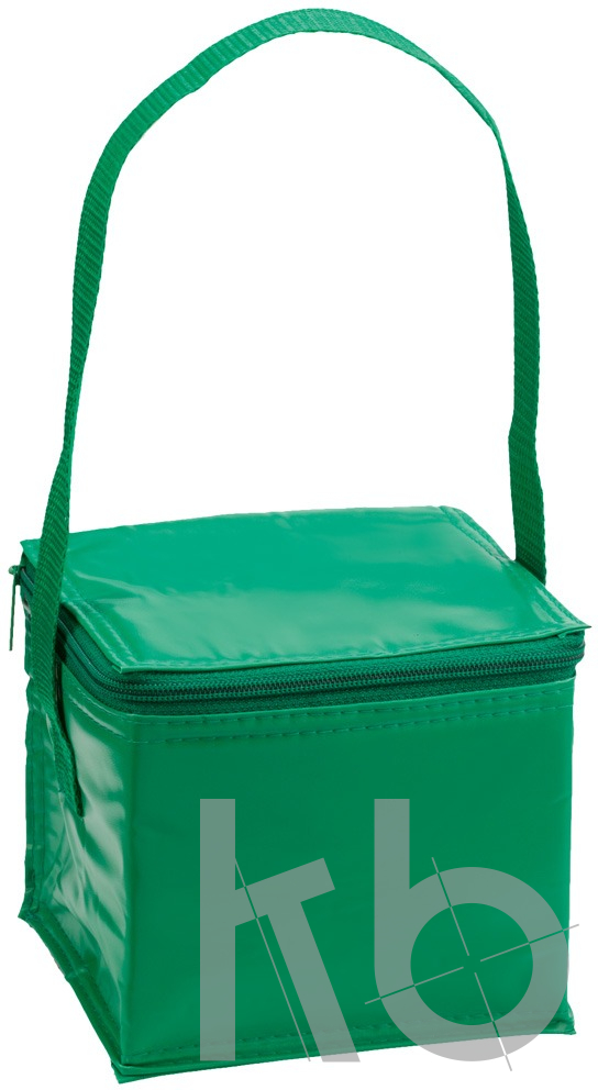 cooler bag