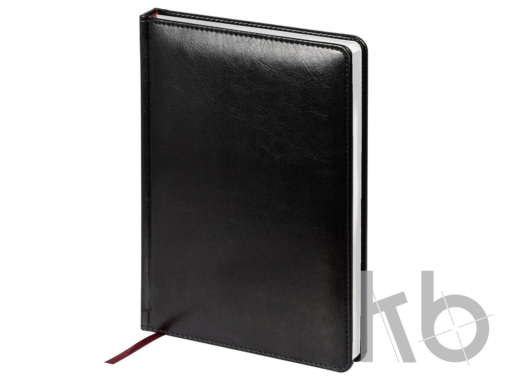 Ежедневник недатированный А5 «Sidney Nebraska»