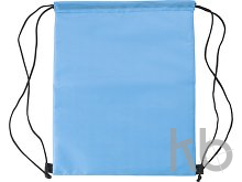 Polyester (210D) cooler bag