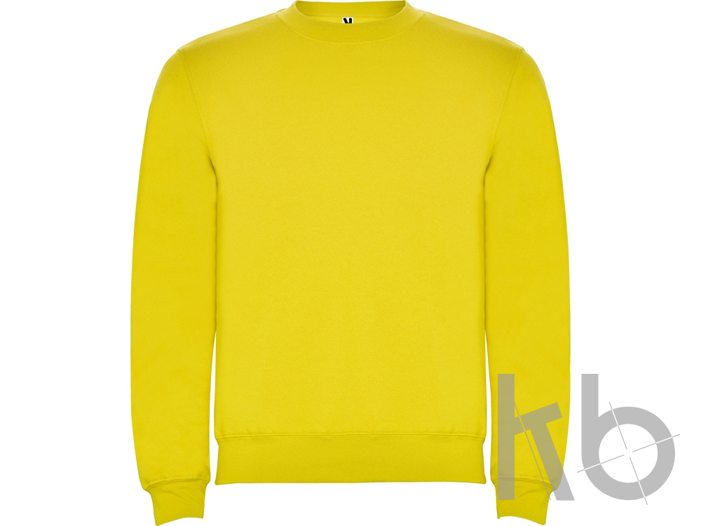 Свитшот с начесом «Clasica» унисекс