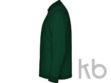 Рубашка поло «Carpe» мужская с длинным рукавом