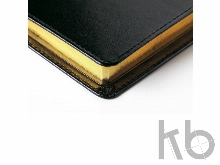 Ежедневник полудатированный портфолио А5 «Profy»