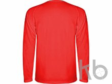 Футболка с длинным рукавом «Montecarlo» мужская