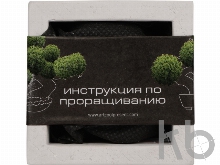 Подарочный набор «Вырасти Бонсай дома. Сосна»