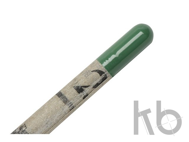 Карандаш, который растет. Ель голубая