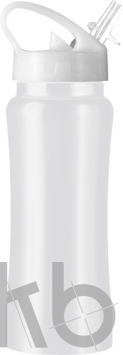 Stainless steel bottle