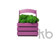 Композиция «Корзинка со мхом»