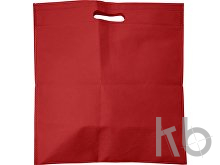 Nonwoven (70 gr/m²) document bag