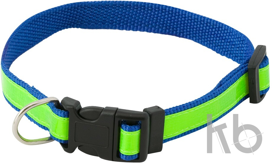 visibility dog's collar