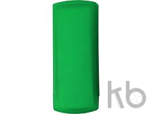 Plastic case with plasters