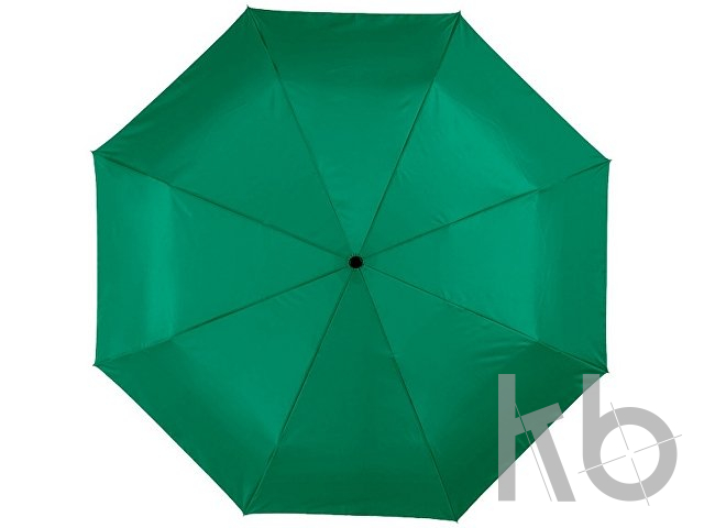 Зонт складной «Alex»