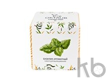 Набор для выращивания «Big village cube «Базилик ароматный»