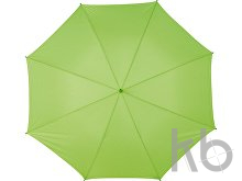Polyester (210T) umbrella