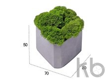 Кашпо бетонное со мхом «Гама»