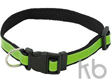 visibility dog's collar