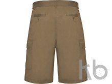 Шорты «Armour», мужские