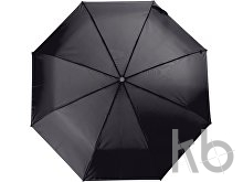 Polyester (210T) umbrella
