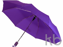 Зонт складной «Ева»