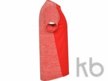 Спортивная футболка «Zolder» мужская