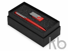 Подарочный набор Skate Mirror с ручкой и флешкой