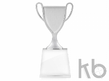 Кубок «Champion»