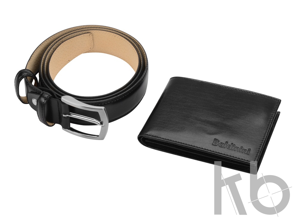 Набор: ремень, портмоне