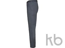 Брюки «Daily next», мужские