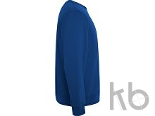 Свитшот из органического хлопка «Batian», унисекс