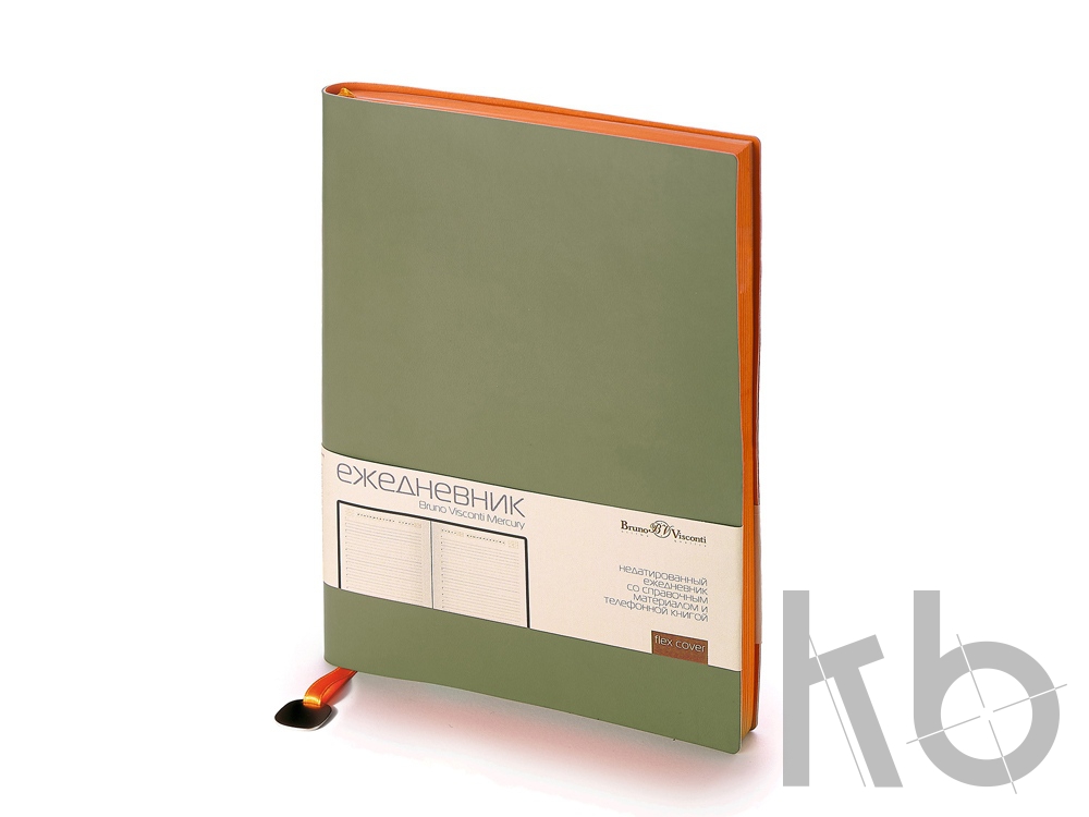 Ежедневник недатированный А5 «Mercury»