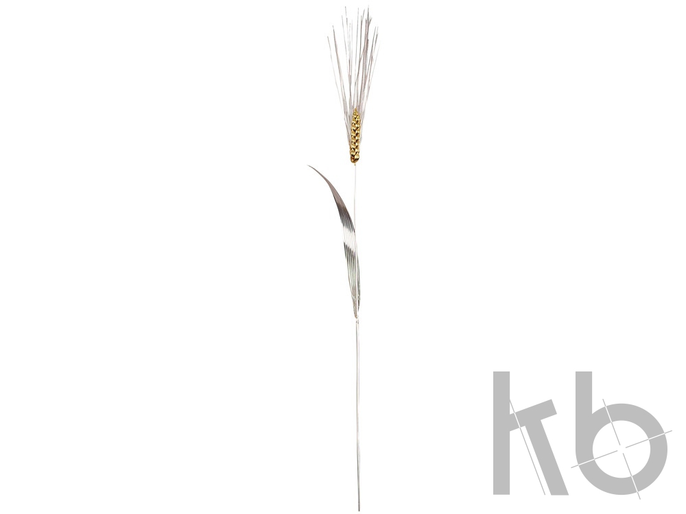 Колос золотой