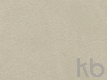 Ежедневник недатированный А5 «Lead AR»