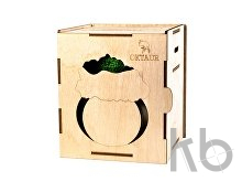 Кашпо бетонное со мхом «Сфера»