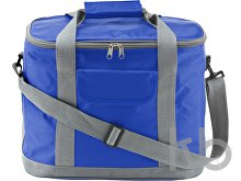 Polyester (420D) cooler bag
