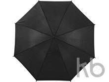 Polyester (170T) umbrella