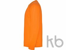 Футболка с длинным рукавом «Montecarlo» мужская