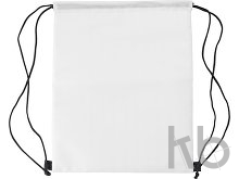 Polyester (210D) cooler bag