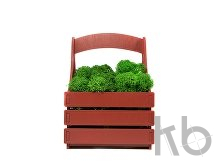 Композиция «Корзинка со мхом»