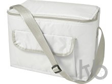 Polyester (420D) cooler bag