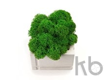 Кашпо бетонное со мхом «Square»