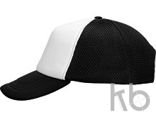 Бейсболка «Newport»