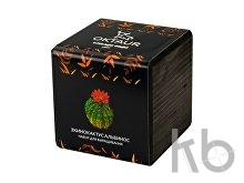 Набор для выращивания «Small village cube «Эхинокактус Альбинос»