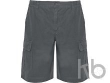 Шорты «Armour», мужские