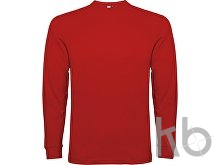 Футболка с длинным рукавом «Pointer» мужская