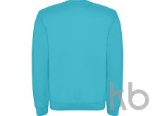 Свитшот с начесом «Clasica» унисекс