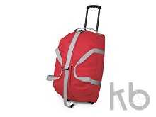 Спортивная сумка на колесах