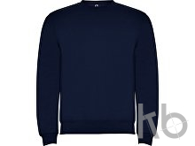 Свитшот с начесом «Clasica» унисекс