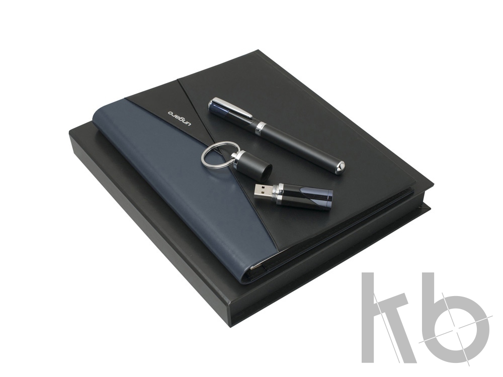 Подарочный набор Lapo: папка А4, USB-флешка на 16 Гб, ручка роллер