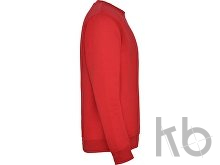 Свитшот с начесом «Clasica» унисекс